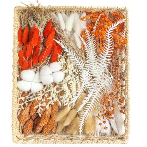 xin's convey DIY Natural Preserved Flower Kit Wholesale Preserved Flowers for Vases Stemmed Preserved Flowers Preserved Roses Mini Preserved Cotton Bouquets Fern Leaves Autumn Dried Flowers(Orange) - color: Orange