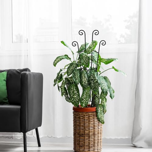 32.6in Plant Trellis for Climbing Plants Indoor Outdoor, Expandable Large Metal Garden Trellis for Potted Plants, Heavy-Duty Tall Pothos Plant Climber Support for Ivy Pothos Hoya Monstera, 2P - size: 32in, 2p