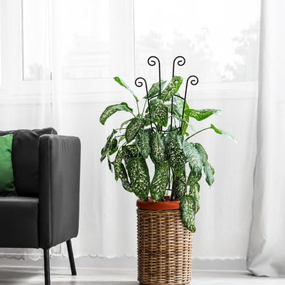 32.6in Plant Trellis for Climbing Plants Indoor Outdoor, Expandable Large Metal Garden Trellis for Potted Plants, Heavy-Duty Tall Pothos Plant Climber Support for Ivy Pothos Hoya Monstera, 2P - size: 32in, 2p
