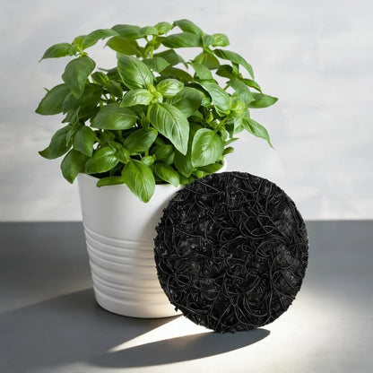 6 Pack Pot Mesh Drainage Discs, 6 Inch Thickened Drainage Hole Insert Pads, Reusable Plant Pot Bottom Mesh Mats for Indoor Outdoor Gardening to Prevent Soil Loss and Keep Root Healthy - color: 6 Inch-6 Pcs