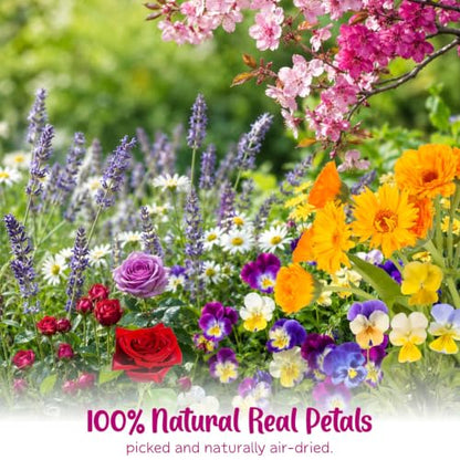 70-Piece Edible Pressed Flowers, 11-Kind Cake Topper and Cocktail Mix | Food-grade Flowers, viola, rose, lavender, sakura, calendula and daisy for cocktails, desserts, garnishes and crafts.