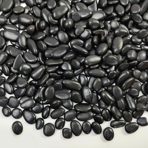 FANTIAN 5 lbs Pebbles for Indoor Plants. 3/8 inch Small Black Stones, Decorative Black River Rocks for Plant Outdoor, Vase, Landscaping and Garden - size: 5 pounds, style: Black