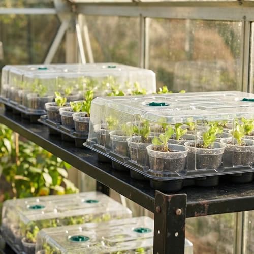 homenote 4 Pack 20 Cell Seed Starting Trays with 4 Vented Humidity Domes | Compatible with standard 3 inch nursery pots. Thick reusable trays have deep cells, raised bases and adjustable dome vents. - size: 3 Inch, style: 4 Pack Seed Starter Tray+Humidity