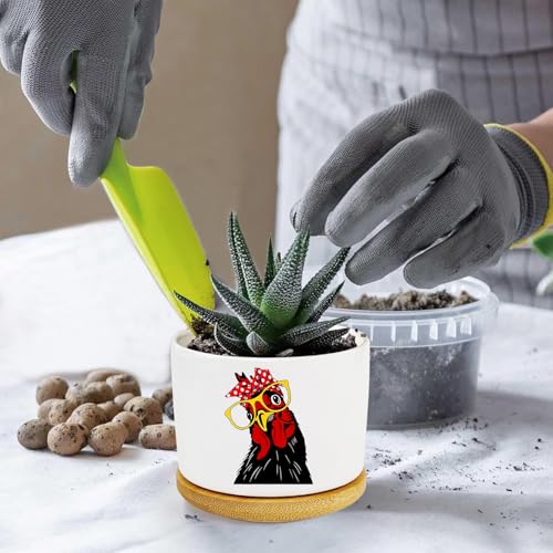 1Pcs Rooster Succulent Pots with Drainage and Bamboo Tray, Ceramic Pot - style: Rooster