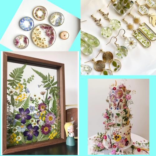 80Pcs Pressed Flowers, White Dried Flowers Natural Pressed Flowers Bulk for Resin Molds, Nail Art, Scrapbooking, Candle Holder, Jewelry Making, Real Dried Pressed Flowers DIY Crafts Kit - color: Multi Color-14