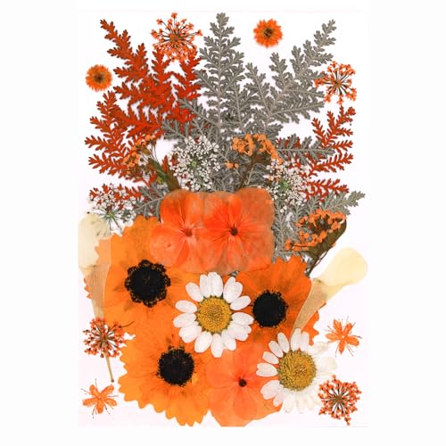 30Pcs Dried Pressed Flowers for Resin DIY Art Crafts Natural Dry Leaves Ferns Daisy Epoxy Jewelry Real Flower Decor Cakes Bookmarks Phone Cases Candles Handmade Soap Orange - color: Orange