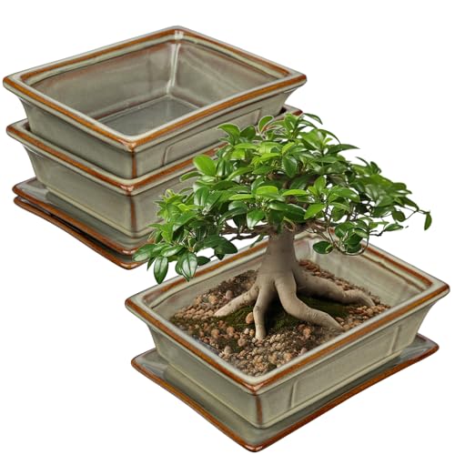 Villa Como Set of 2 Bonsai Pots with Drainage Tray, 7.5" Brown Glazed | Ceramic Bonsai Tree Pots, Shallow Rectangle Bonsai Planter for Indoor Outdoor Plants, Succulents, Cactus, Home, Patio, Garden - color: Light Brown, size: 7.5"x5.5"x2.4"