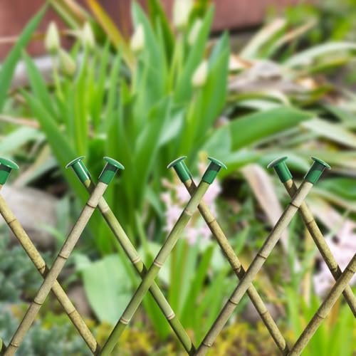Cosmos 12 Pcs Garden Cane Caps Bamboo Stick Protectors Rattan Toppers Bamboo Pole Sleeves Plant Stick Support Holder Small Cane End Covers for Outdoor Fence Rebar Stake (Round Shape) - style: Round Shape