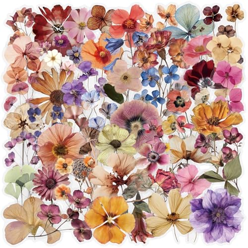 Vintage Pressed Flower Stickers, 50PCS Transparent PET Dried Floral Decals, Retro Wildflower Aesthetic Stickers for Scrapbooking, Journaling, Phone Cases, Water Bottles, DIY Crafts & Gift Wrapping - color: Vintage Flower Stickers