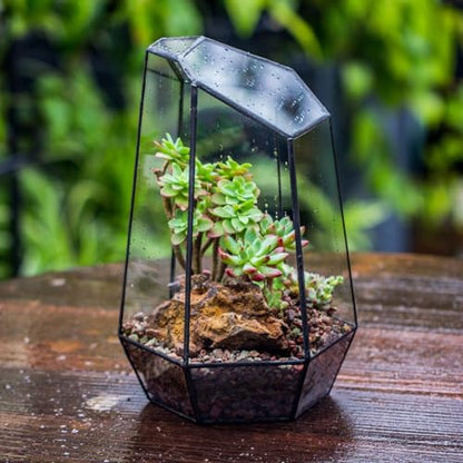 NCYP Glass Terrarium - Glass House Shape Terrarium with Lid, and Geometric Open Glass Terrarium Planter, for Small Succulent Cacti, Garden Tabletop Decor (No Plants)