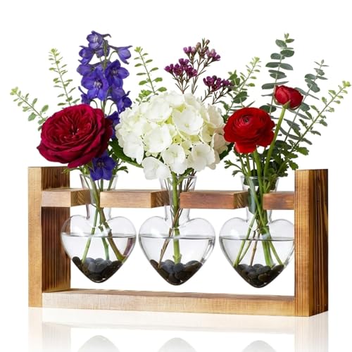 Propagation Stations,3 Bulb Glass Plant Propagation Station with Wooden Stand,Propagation Vases for Plants,Plant Propagation Tubes,Glass Planters for Indoor Plants,Vintage Desk Décor Gift (Heart) - color: Heart