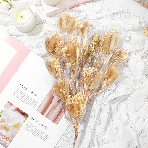 Roowest 20 Pcs Dried Baby's Breath Flowers, Mini Boho Bouquets for DIY | Wedding Envelope Decoration, Craft Projects, Photography Props, Rustic Boho Party, Scrapbooking Accents, Natural Floral Decor