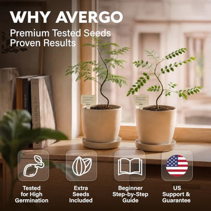 Bonsai Starter Kit – 2X Bonsai Tree
