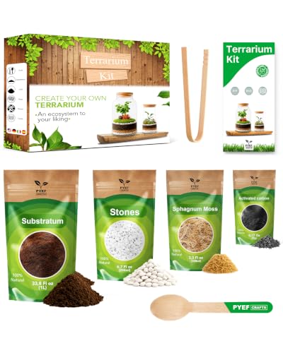 Terrarium Kit, Succulents & Indoor Plants Set DIY