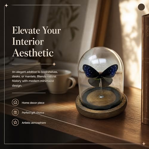 1pc Real Butterfly Specimen with Wooden Pedestal, Glass Bell Jar Display Case, Desktop Insect Collection, Scientific Educational Ornament (Euploea mulcibe) - color: Euploea Mulcibe