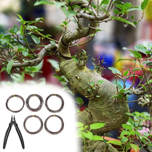 QWORK Anodized Aluminum Bonsai Training Wire with Cutter, 5 Sizes, Total 147 Feet (1.0mm, 1.5mm, 2.0mm, 2.5mm, 3.0mm), for Bonzai Trees Indoor