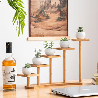 5 Tiers Desk Plant Stand Window Sill Plant Shelf Tabletop Succulent Stand Flower Pot Stand Holder Desktop Plant Stand Indoor Plant Rack for Succulent Herb in Living Room Office (Square) - size: Square