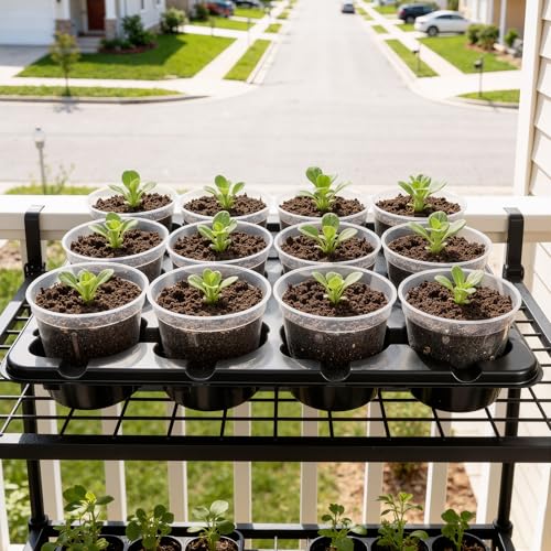 homenote 2 Pack 12 Cell Seed Starter Trays with 24 Clear 4 Inch Plant Pots | Reinforced trays securely hold clear pots with multi-hole drainage for easy root monitoring and healthier seedling growth. - size: 4 Inch, style: 2 Pack Seed Starter Tray+Nursery