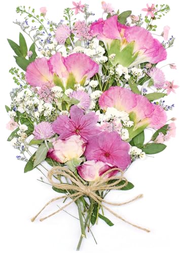 10+ Types Dried Pressed Flowers for Crafts, Pink Real Roses and Carnations Bouquet for Mothers Day Card, Cake Topper, Fame Decors, Scrapbooking Supplies(Rosy) - color: Rosy