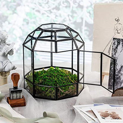 NCYP Geometric Glass Terrarium Dome for Succulent Cacti Air Plants, 6.6x6.6x8 Inches Closed Birdcage Planter Pot, Indoor Miniature Fairy Garden Display Container, Black, Handmade (Only Terrarium)