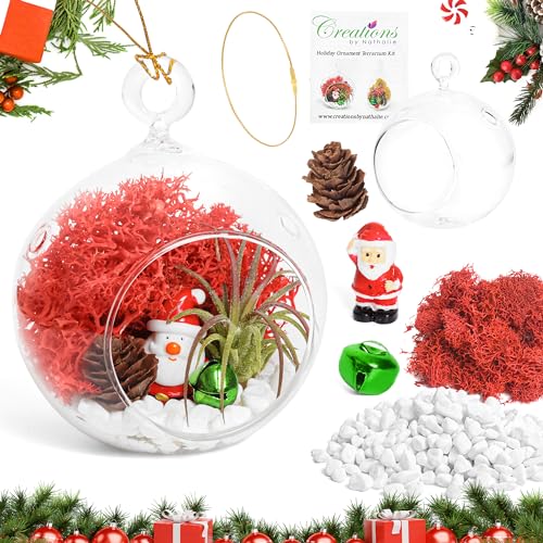 Creations by Nathalie Holiday 4" Glass Globe Terrarium Kit with Live Plant | DIY glass globe terrarium kit with live plant, moss, and essential supplies for creating an indoor terrarium display at home. - size: 4" Ornament Glass Globe