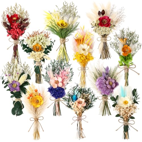 Layhit 12 Pcs Mini Dried Flower Bouquet Boho for Wedding,Camellia | Rustic Boutonniere Bridesmaid Gifts,Handmade Dry Flowers Decor, Bulk Dried Flowers in Vase, DIY Crafts Home Decor - style: Camellia
