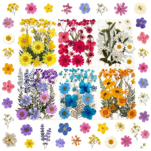 Colorful Pressed Flowers and Leaves for Resin, 108 PCS