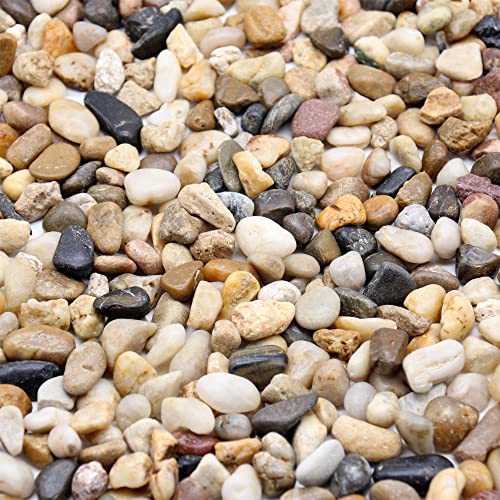 Mixed Color Rocks for Plants & Planters, Decorative Pebbles, 1/5", 10 lb - color: MIXED COLOR, size: Mini (0.2 Inch)