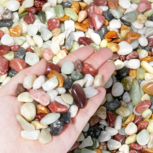 2.2 lbs Succulent Rocks,1/2 Inch Colorful Pebble - color: Mixed Color, size: 1/2 Inch 2.2 LB
