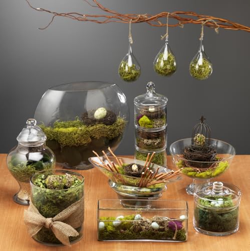 SuperMoss (26956) Preserved Spanish Moss – Decorative Moss for Crafts, Potted Plants, Fairy Gardens, Vase Filler, Floral Arrangements & Indoor/Outdoor Garden Projects, 120 cu in, Coffee