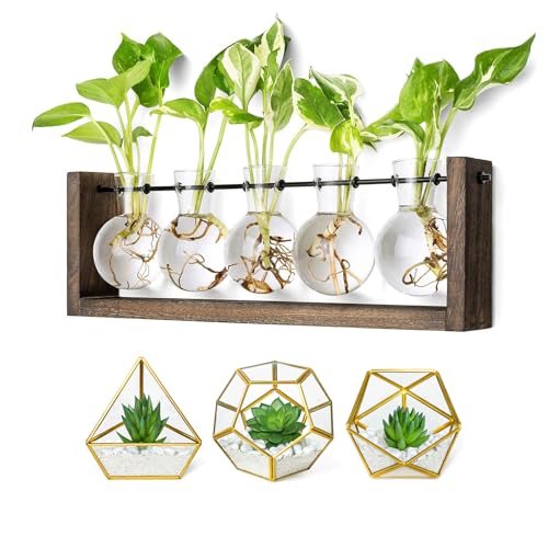Mkono Plant Terrarium with Wooden Stand and Artificial Succulent in 3 Pack Mini Glass Geometric Terrarium