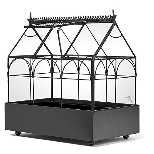 H Potter Glass Terrarium Wardian Case, with Hinged Roof 10.5" Tall