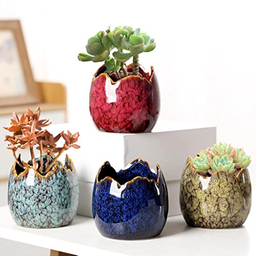 Simcat Succulent Pots with Drainage Half Dragon Egg Shell Design Sets 4 PCS