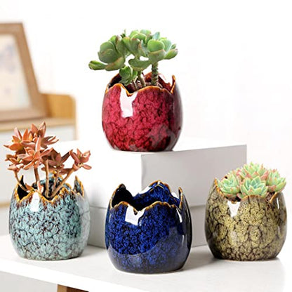 Simcat Succulent Pots with Drainage Half Dragon Egg Shell Design Sets 4 PCS