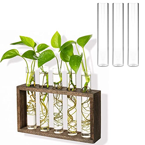 Kingbuy Wall Hanging Glass Planter Propagation Station 5 Test Tube Vase Flower Pots in Vintage Wood Stand Rack with 3 Pack Glass Test Tube Accessory for Replacement