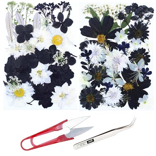 Cayway 2 Pack Pressed Flowers Natural Dried Flowers Black Resin Flowers Real Pressed Flowers with Butterfly Sticker for Resin Scrapbook DIY Art Crafts, Epoxy Resin Jewelry Supplies, Style D - color: Black White Style D