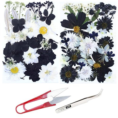 Cayway 2 Pack Pressed Flowers Natural Dried Flowers Black Resin Flowers Real Pressed Flowers with Butterfly Sticker for Resin Scrapbook DIY Art Crafts, Epoxy Resin Jewelry Supplies, Style D - color: Black White Style D