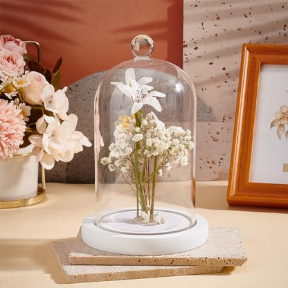 PH PandaHall Glass Dome with Base Cloche Cloche Bell Jar Display Dome Case Glass Decoration Bottles for Plants Flower Display Clay Succulents Storage Home Party Favor Decoration 3.5x7 inch