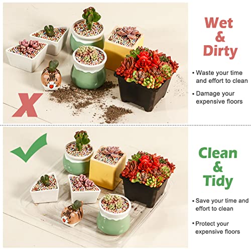 20 Pack Plant Saucers for Indoors 4 Inches Plant Trays for Pots Plastic Trays for Plants Square Plant Drip Trays for Potted Plants Flower Pot Saucers Clear Plant Plates to Catch Water, Bulk