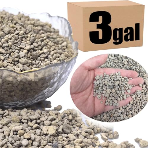 Organic Pumice for Bonsai and Horticultural 100% Natural- (3 gallons, 1/4 inch) - color: 3 gallons, size: 1/4 inch