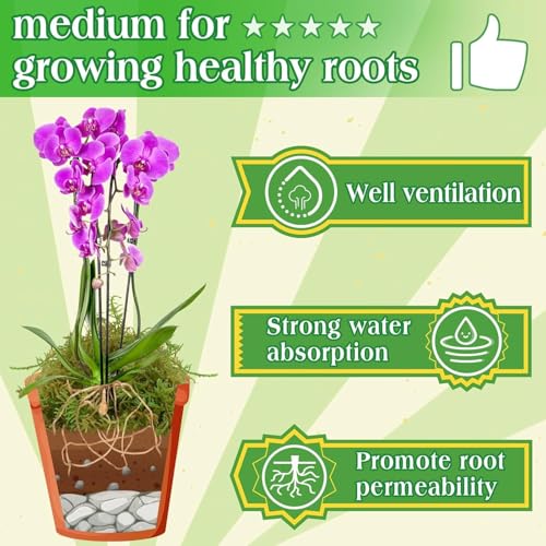 Halatool 2.2LB Green Moss for Indroor Plants, 8QT Orchid Moss for Repotting - size: 35.2 oz