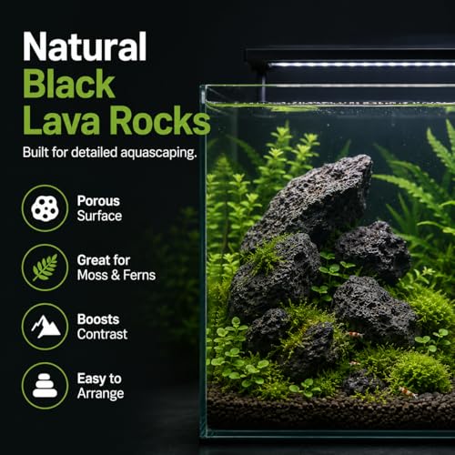 2–3.1 Inches Natural Black Lava Rocks, 4PCS Small Aquarium Rocks for Aquascaping, Fish Tank Decor, Nano Tanks, Terrariums & Reptile Enclosures (Small 2–3.1 in) - size: Small 2–3.1 in