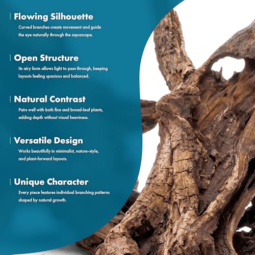 Natural Aquarium Driftwood for Fish Tanks, Terrarium, Reptile Habitats, Freshwater Aquatic Decor - Small to Large Pieces (Pacific Wood (Small) 4-8", 1 Piece) - size: 1 Piece