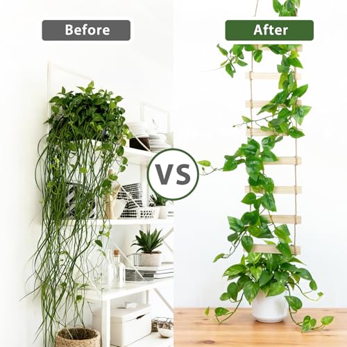 Wooden Ladder Plant Trellis for Climbing Plants – 6ft Extra Tall Indoor & Outdoor Hanging Wall Wooden Trellis Garden Plant Support, Easy to Install for Vines, Ivy, Pothos, Potted Plants