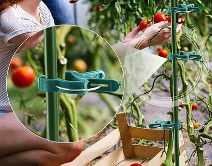 Bexter 60 PCS Heavy Duty Plant Support Clips – Adjustable 2 Sizes Reusable Garden Clips for Tomatoes, Vines, Flowers & Climbing Plants Trellis Support
