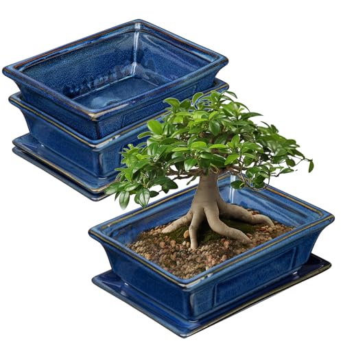 Villa Como Set of 2 Bonsai Pots with Drainage Tray, 7.5" Bonsai Planters | Blue Glazed Ceramic Bonsai Tree Pots, Shallow Rectangle Bonsai Pot for Indoor Outdoor Plants, Succulents, Cactus, Flowers - color: Blue, size: 7.5"x5.5"x2.4"