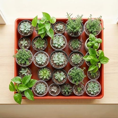 10 Pack Square Plant Saucer 12 Inches Drip Trays to Catch Water, Brick Red - color: Brick Red, size: 12 Inch