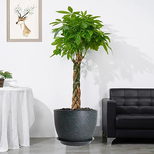 UOUZ 12/10/9 Large Modern Plant Pots, Plastic Planters with Drainage Holes and Saucers for Indoor Outdoor Plants Flowers, Black with Green Speckles - color: Black With Green Speckles