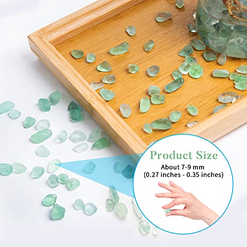 QICQDRAM Polished Gem Stones Rocks Green Flourite Crystals Natural 2LB | Small Tumbled Stones Crystal Chips Bulk for Healing Crystals Fish Tank Gravel Vase Filler (900g/31.74oz) - color: Green Flourite, size: 2LB