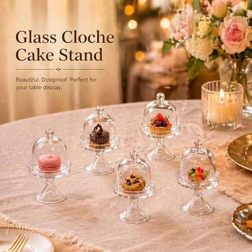 6 Pcs Mini Glass Cloche with Base Glass Display Dome & Acrylic Cube
